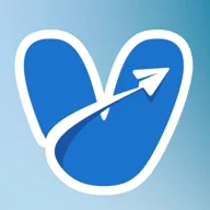 飞V logo